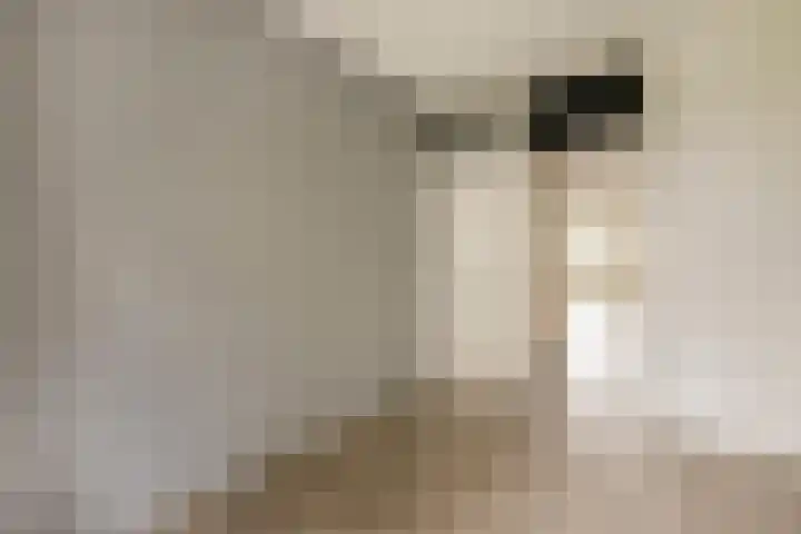 Ariaplein 100 Amersfoort thumbnail 21