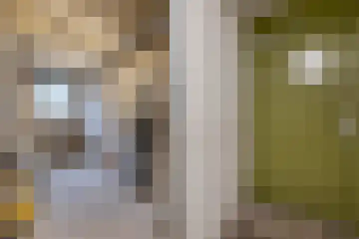 Ariaplein 100 Amersfoort thumbnail 26
