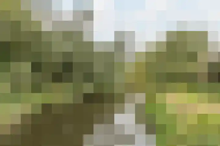Ariaplein 100 Amersfoort thumbnail 29