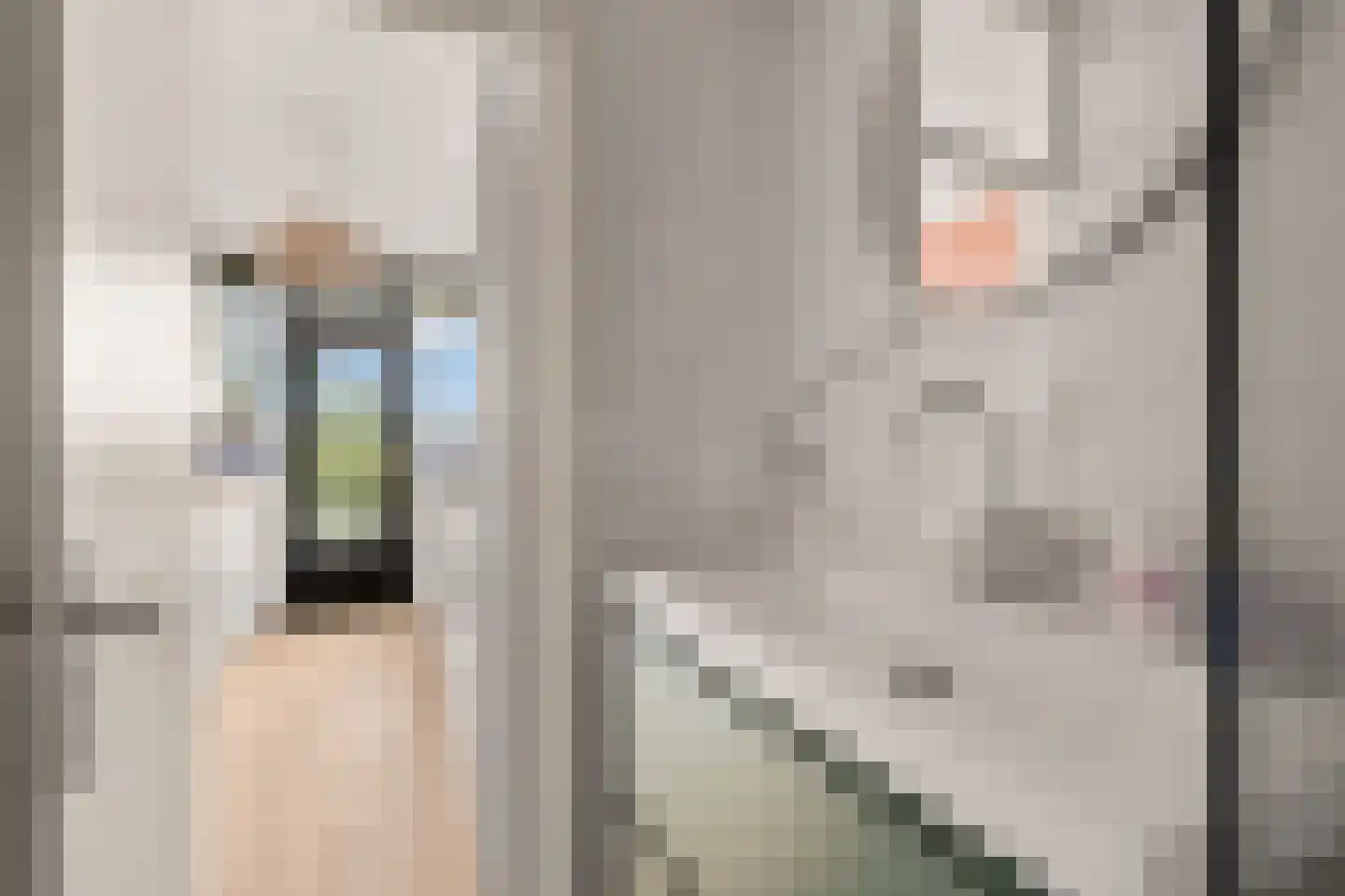 Ariaplein 110 Amersfoort thumbnail 18