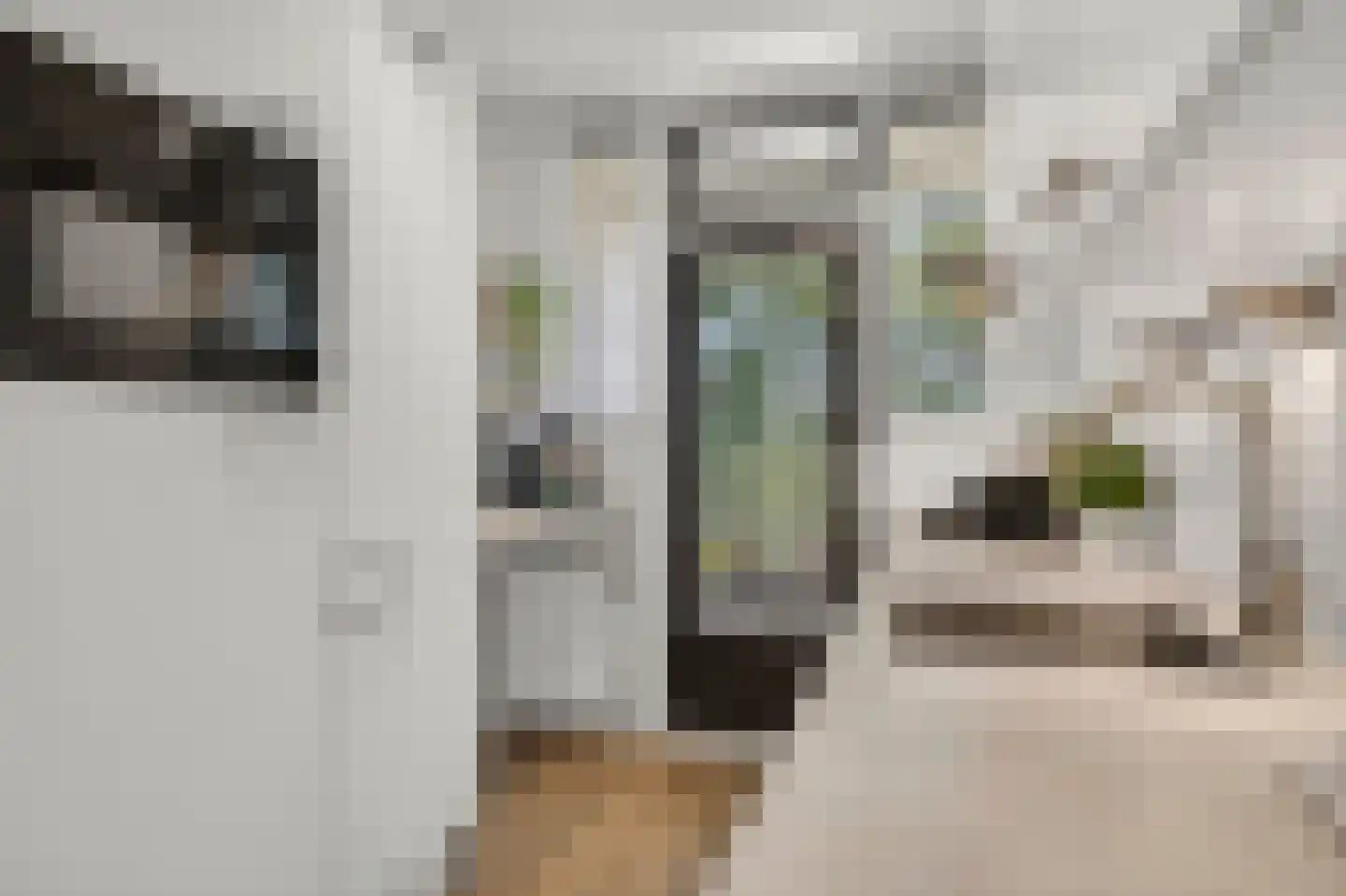 Ariaplein 94 Amersfoort thumbnail 19