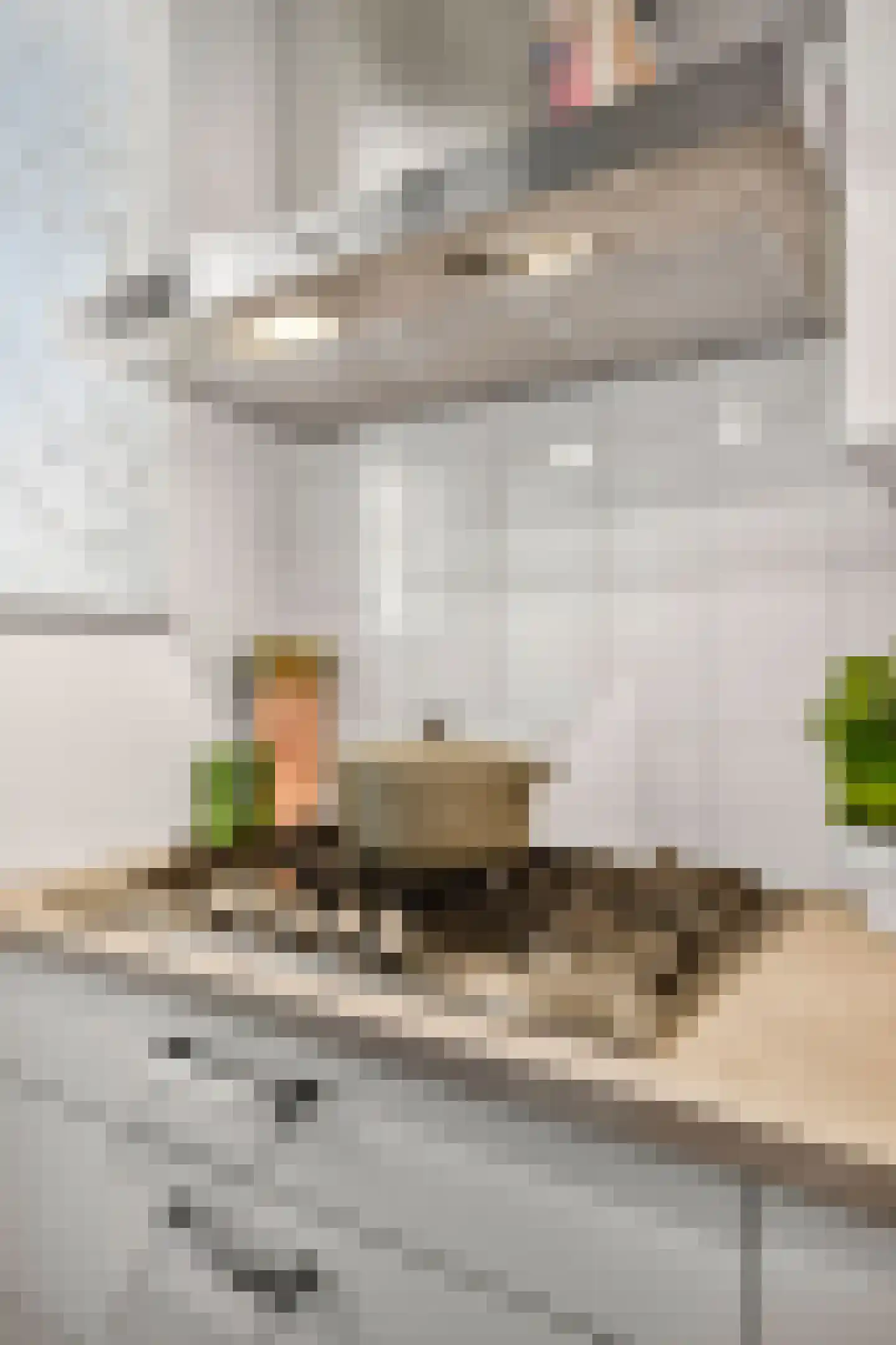 Ariaplein 94 Amersfoort thumbnail 21