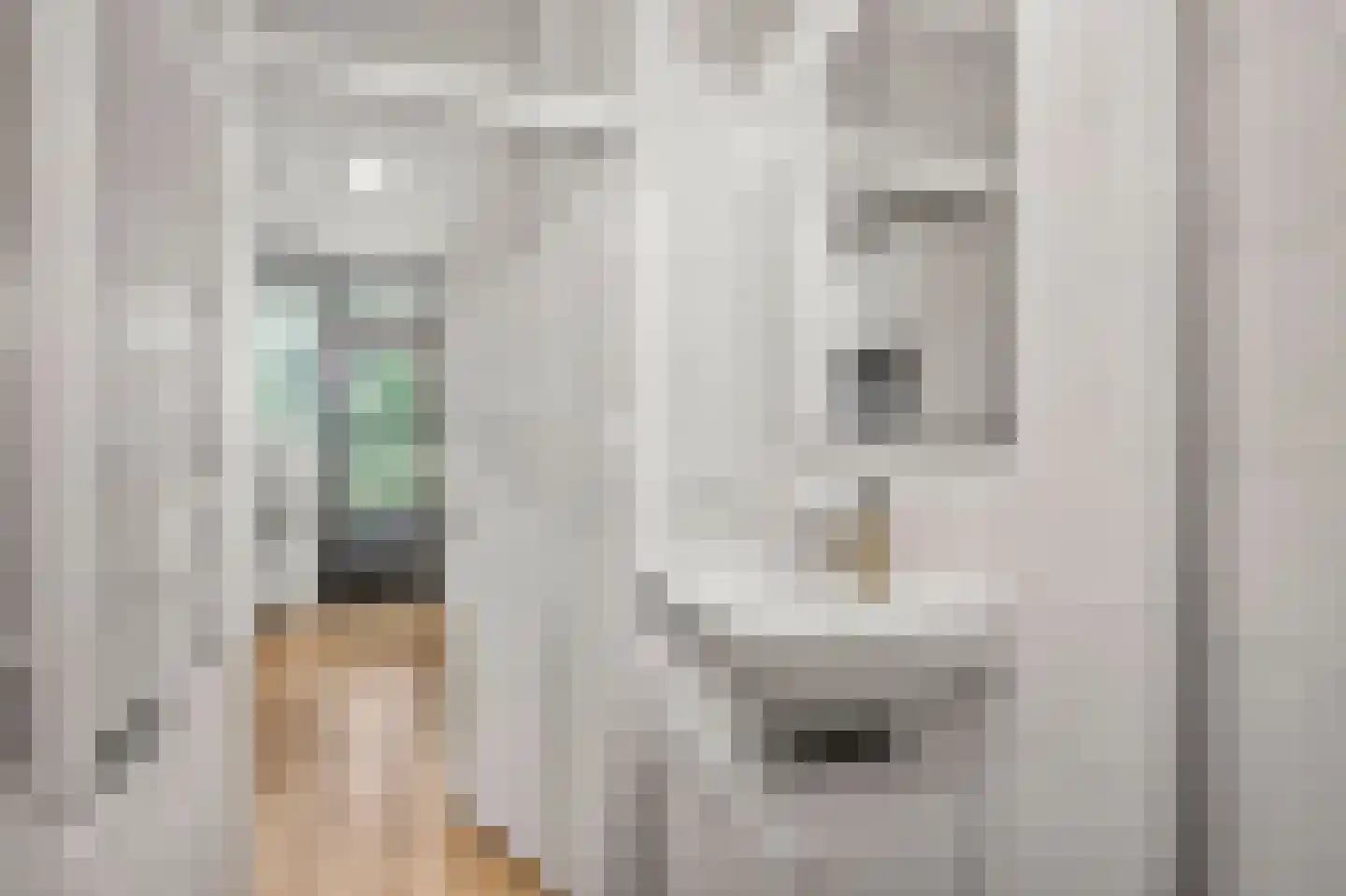 Ariaplein 94 Amersfoort thumbnail 26