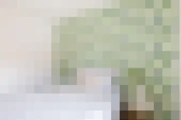 Ariaweg 123 Amersfoort thumbnail 12