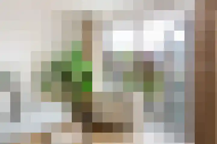 Ariaweg 123 Amersfoort thumbnail 7