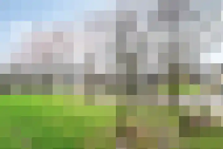 Ariaweg 13 Amersfoort thumbnail 21