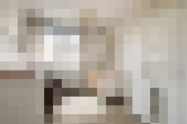 Ariaweg 13 Amersfoort thumbnail 28