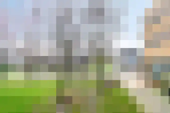 Ariaweg 13 Amersfoort thumbnail 34