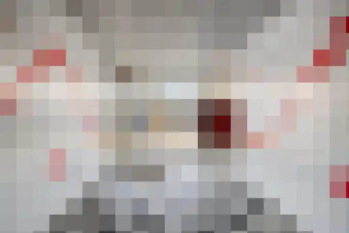Ariaweg 13 Amersfoort thumbnail 8