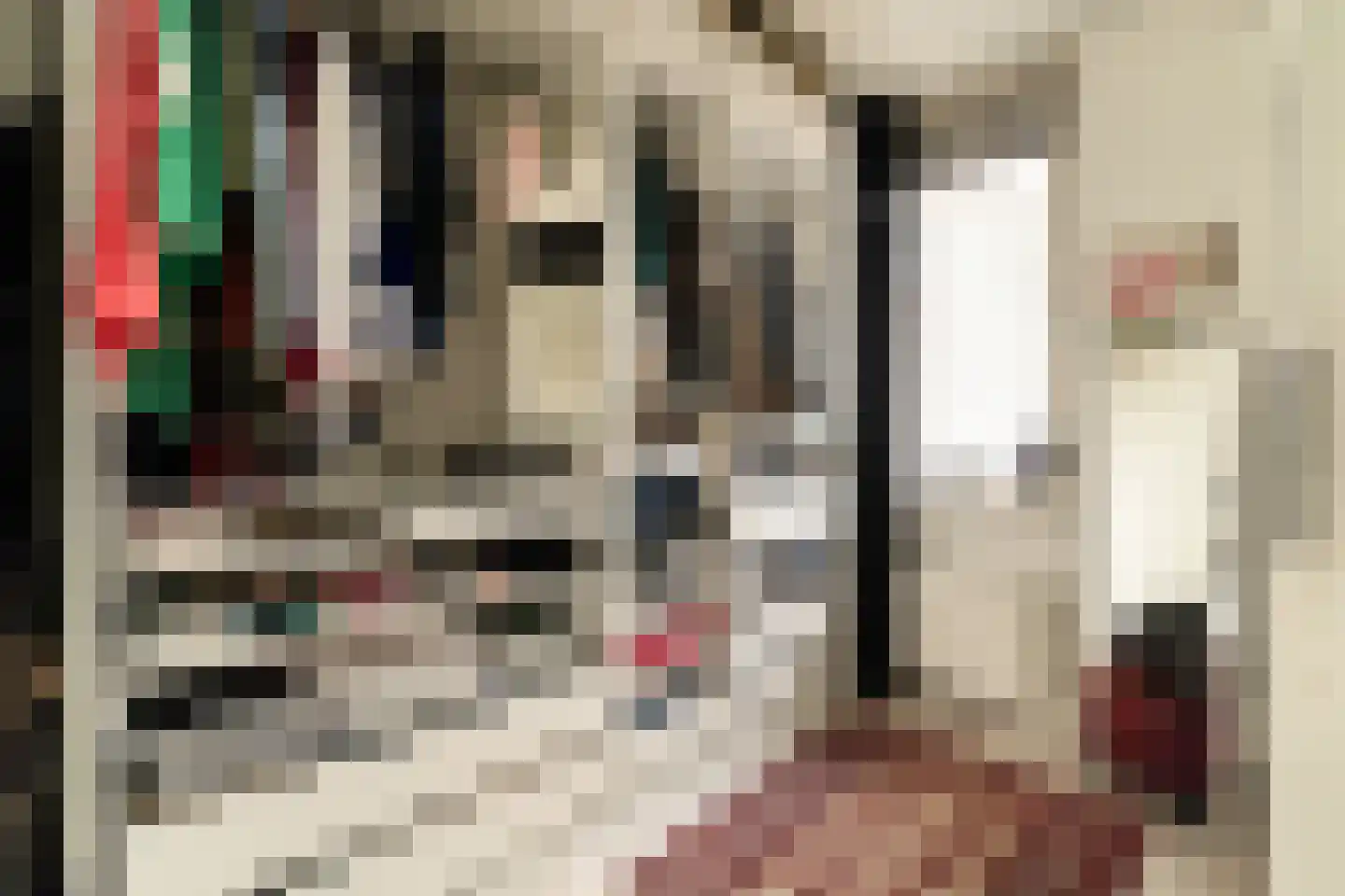 Ariaweg 131 Amersfoort thumbnail 13