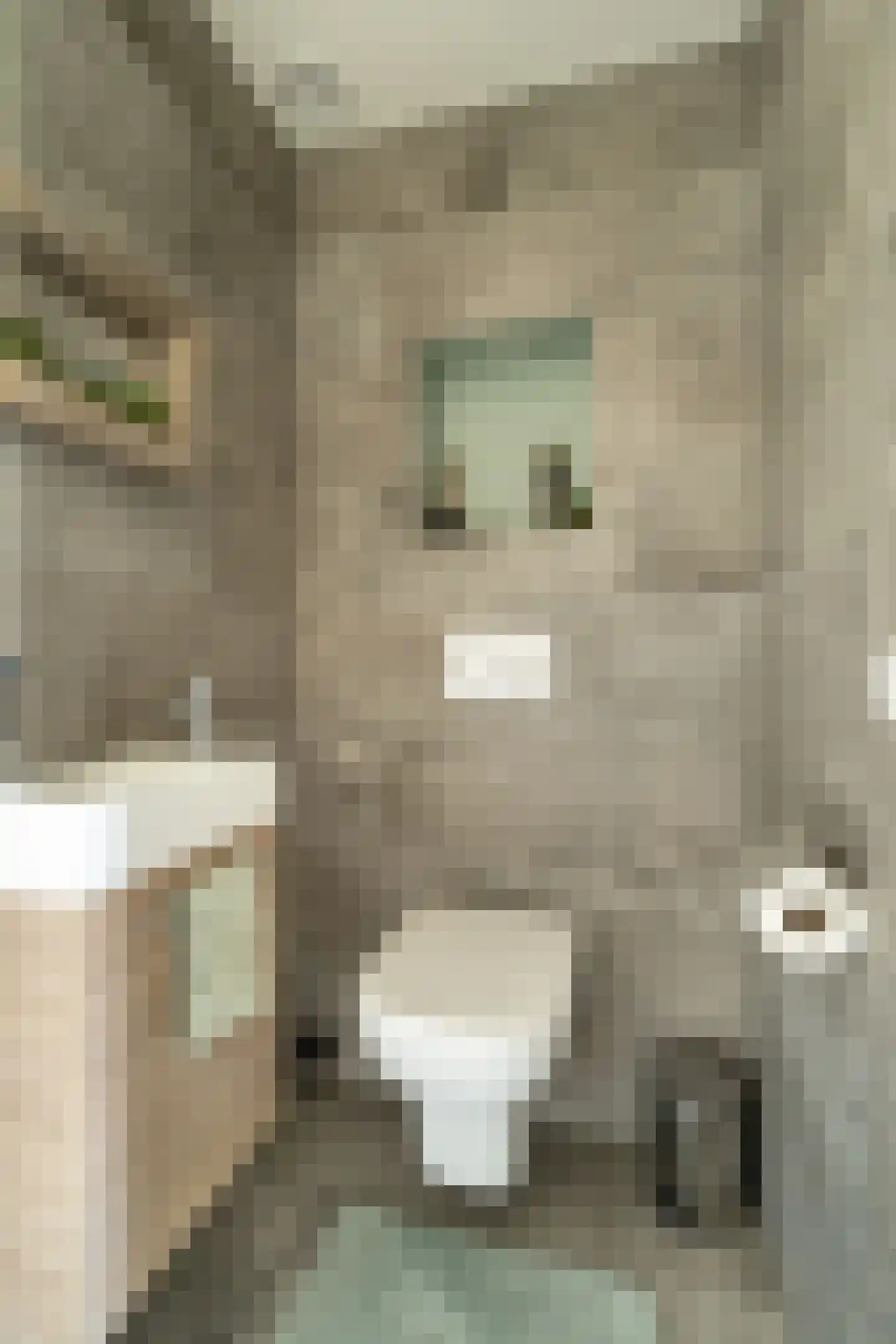Ariaweg 131 Amersfoort thumbnail 15