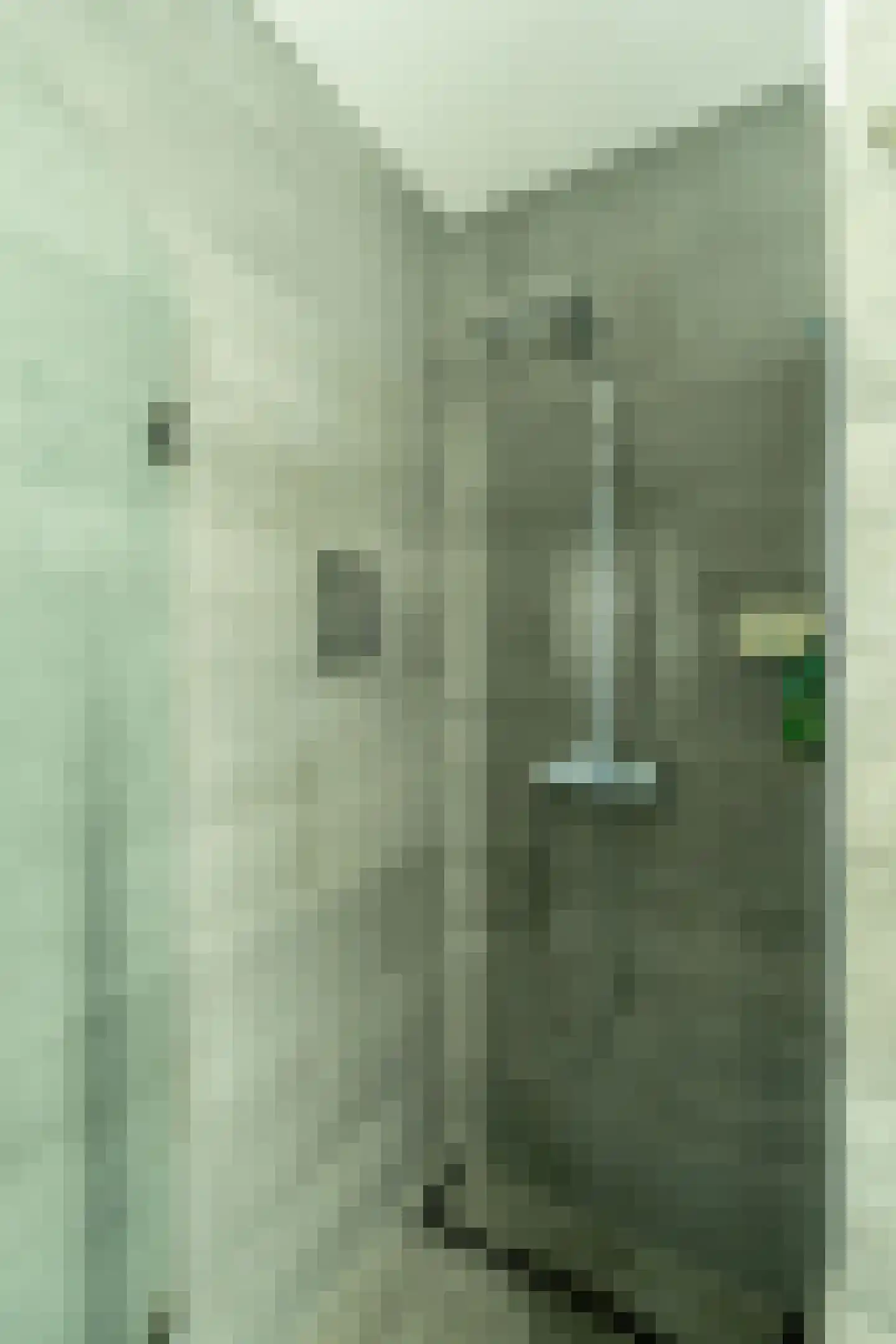 Ariaweg 131 Amersfoort thumbnail 18