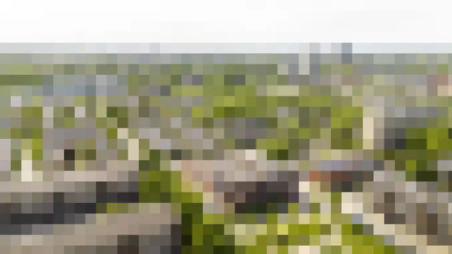 Ariaweg 131 Amersfoort thumbnail 25