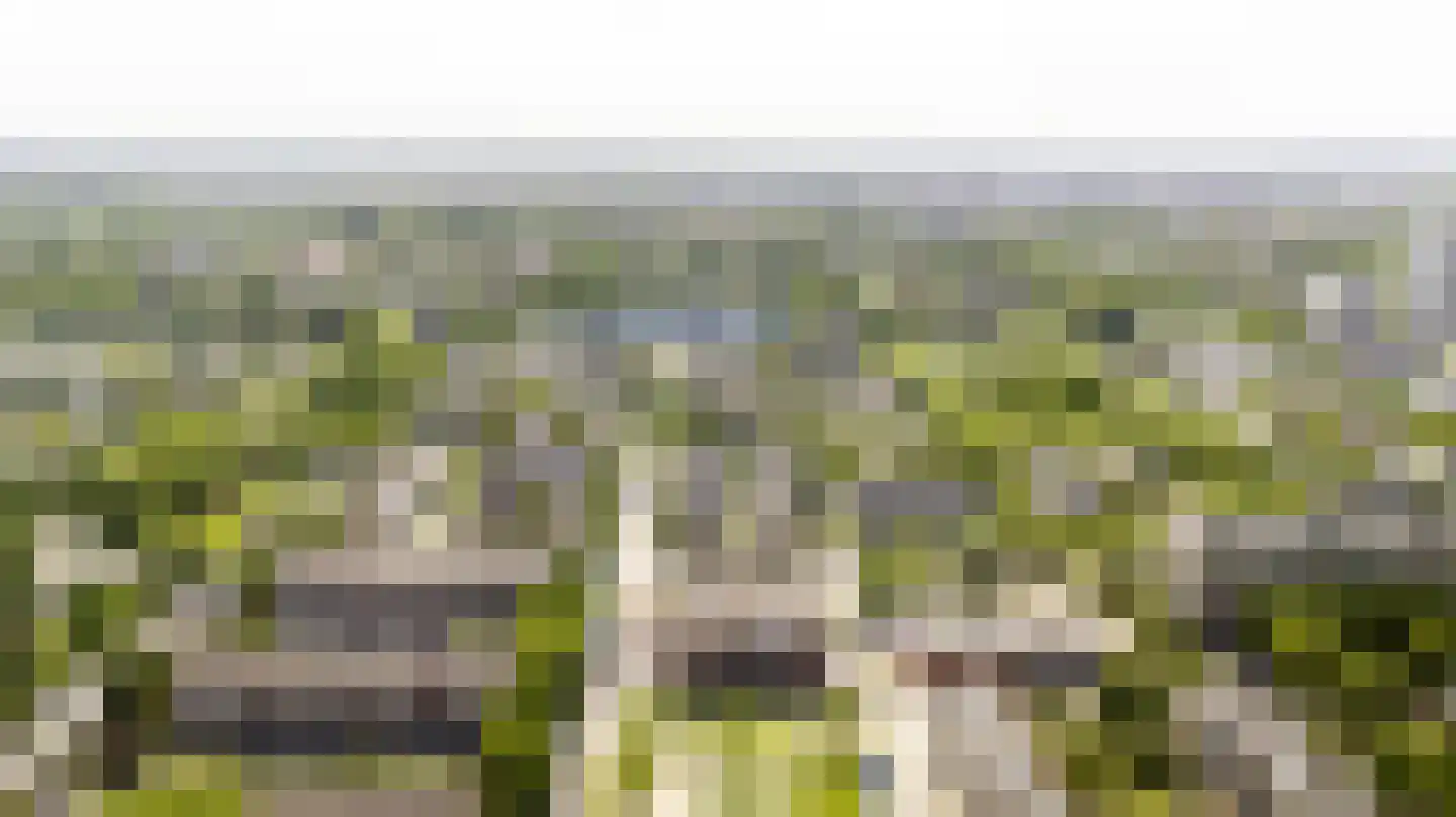 Ariaweg 131 Amersfoort thumbnail 27