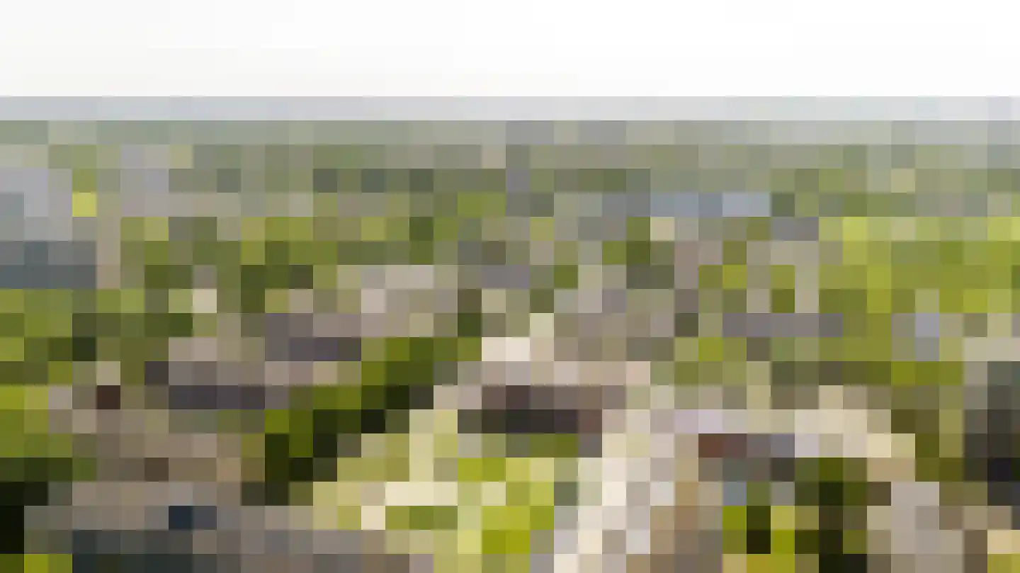 Ariaweg 131 Amersfoort thumbnail 28