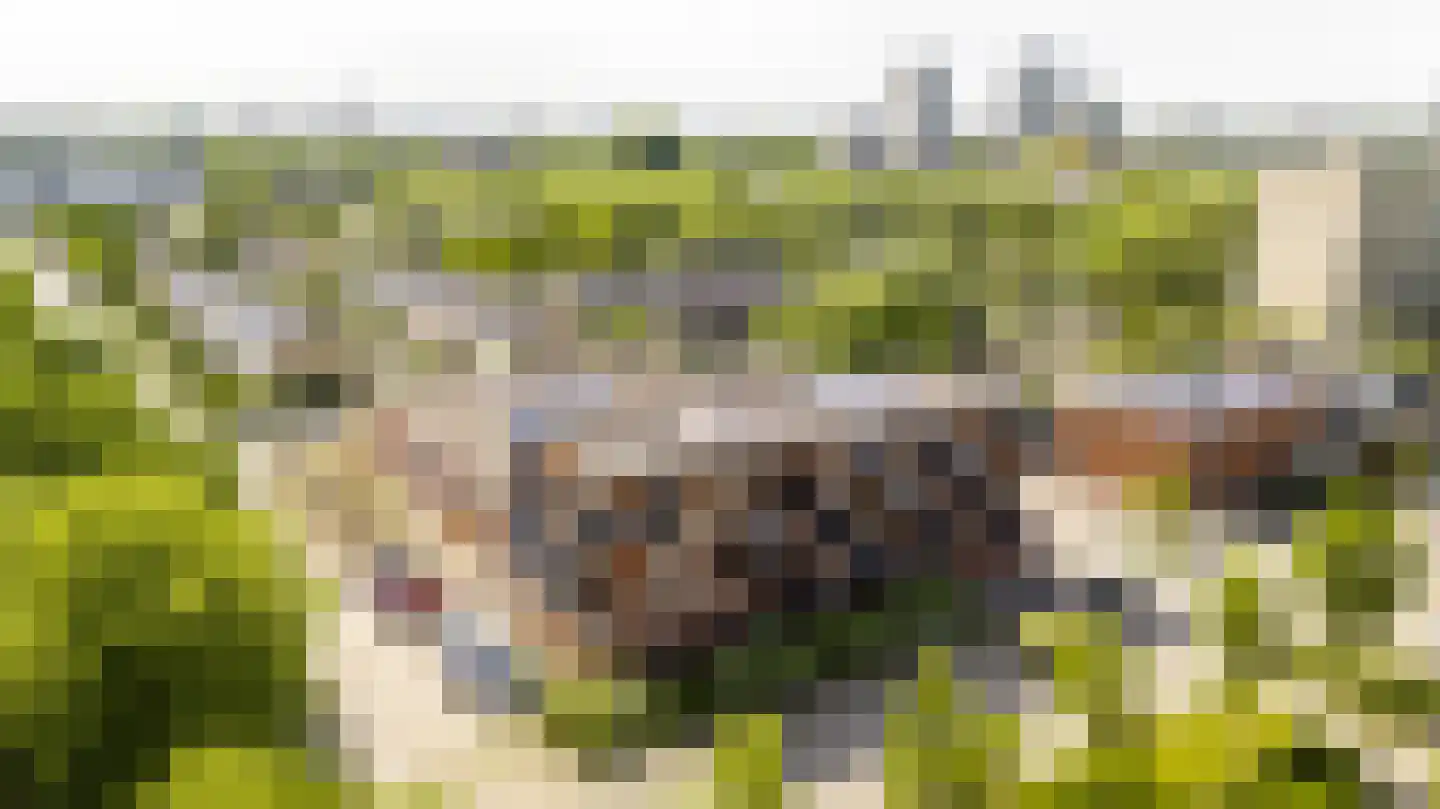 Ariaweg 131 Amersfoort thumbnail 30