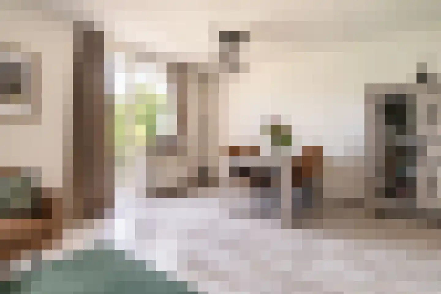 Ariaweg 131 Amersfoort thumbnail 8