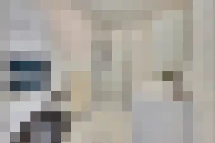 Ariaweg 133 Amersfoort thumbnail 16