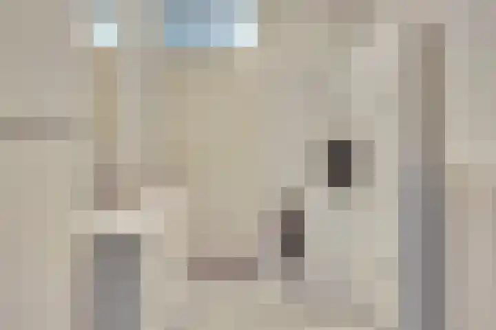Ariaweg 133 Amersfoort thumbnail 17