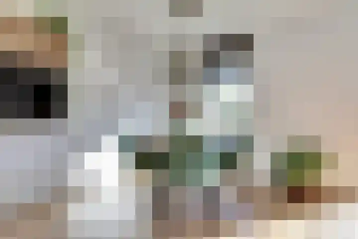 Ariaweg 133 Amersfoort thumbnail 5