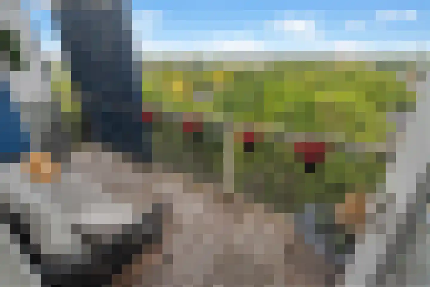 Ariaweg 41 Amersfoort thumbnail 23