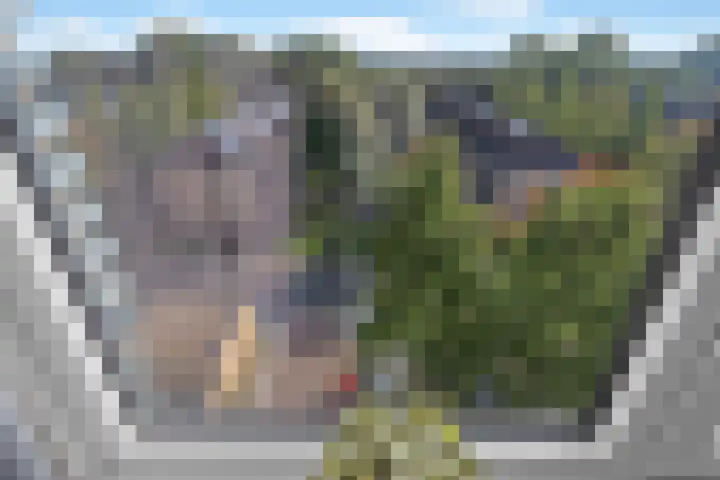 Ariaweg 41 Amersfoort thumbnail 36