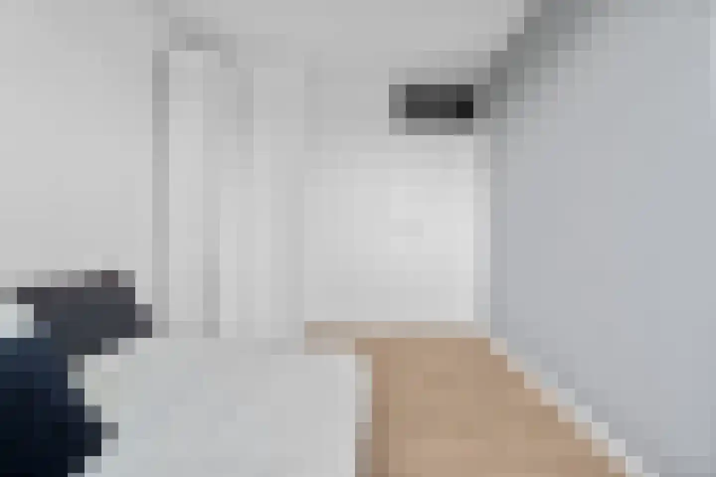 Ariaweg 41 Amersfoort thumbnail 37