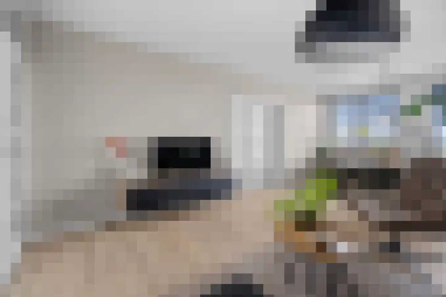 Ariaweg 41 Amersfoort thumbnail 8