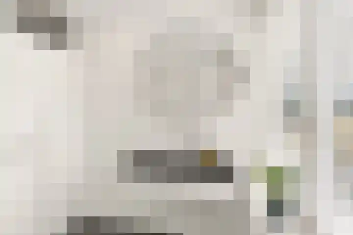 Ariaweg 49 Amersfoort thumbnail 32