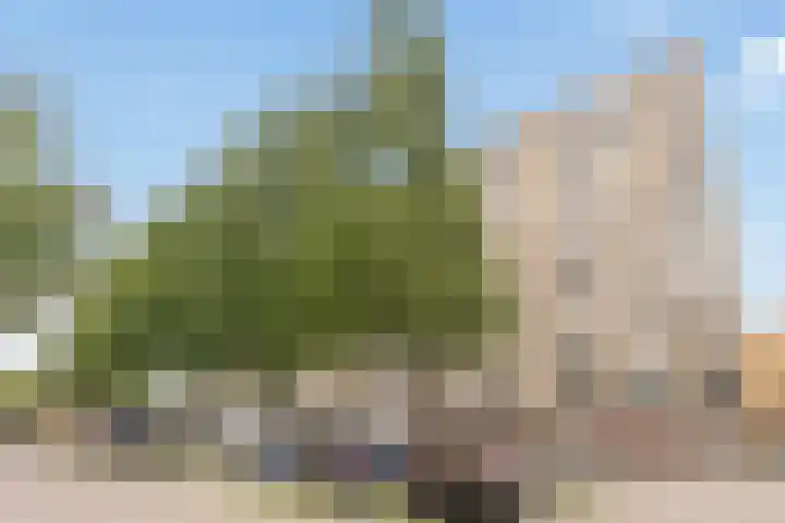 Ariaweg 49 Amersfoort thumbnail 37