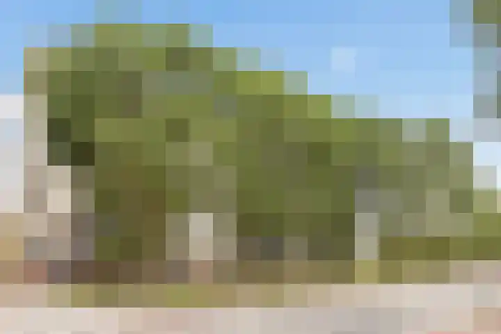 Ariaweg 49 Amersfoort thumbnail 39