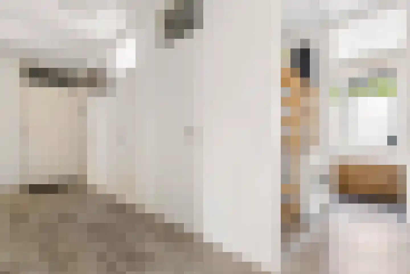 Ariaweg 51 Amersfoort thumbnail 21