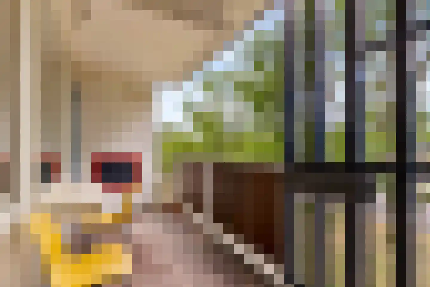Ariaweg 51 Amersfoort thumbnail 32