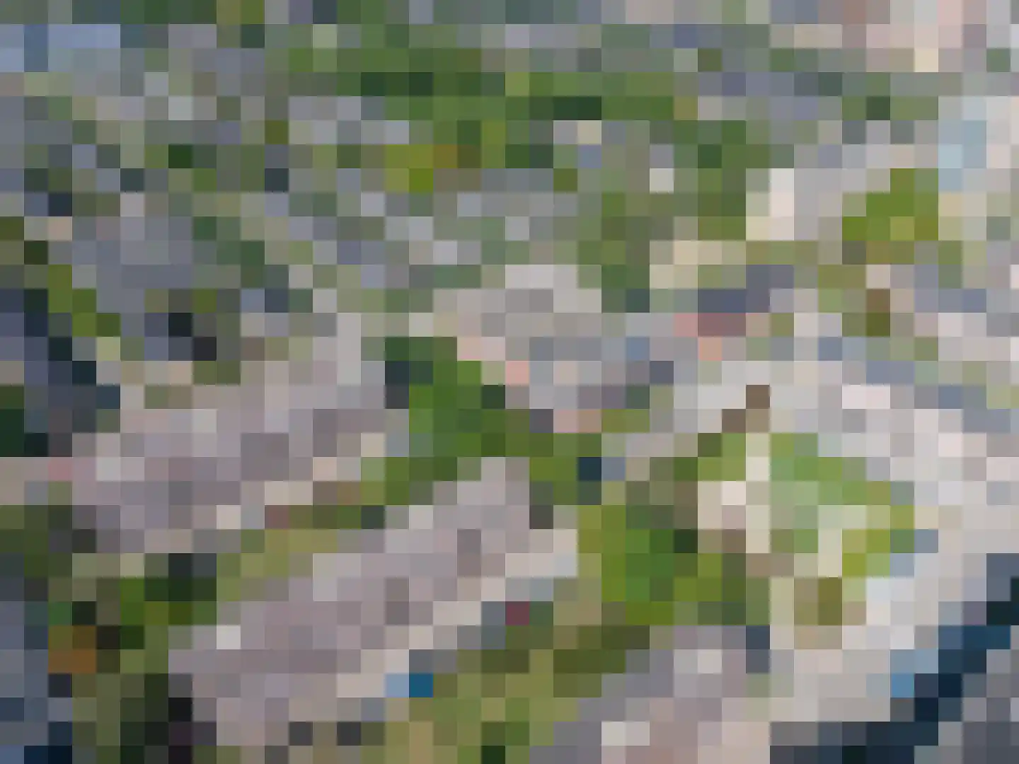 Ariaweg 578 Amersfoort thumbnail 30