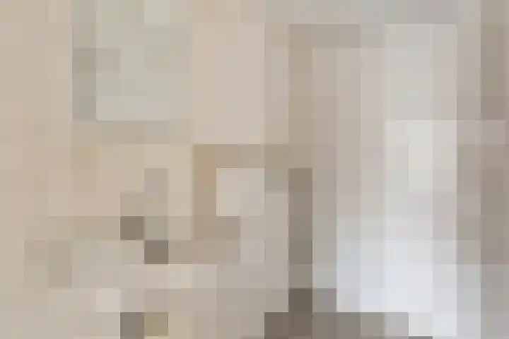 Ariaweg 590 Amersfoort thumbnail 11