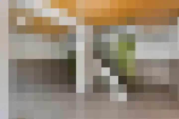 Ariaweg 590 Amersfoort thumbnail 17