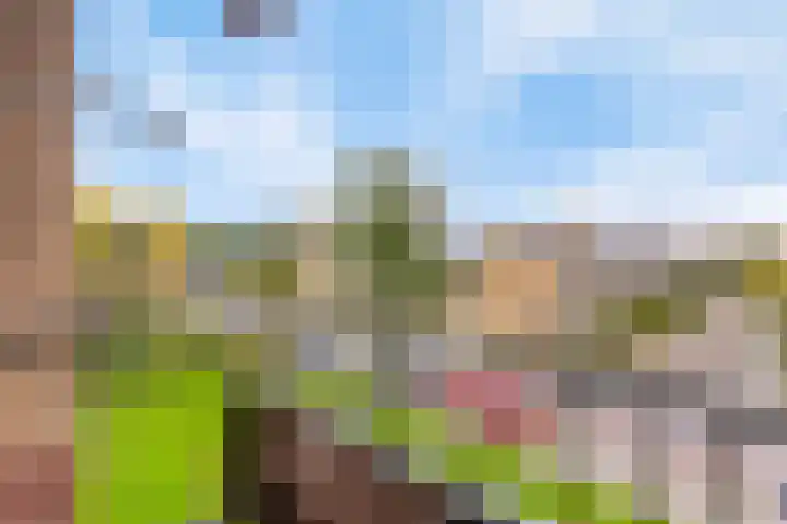 Ariaweg 590 Amersfoort thumbnail 4