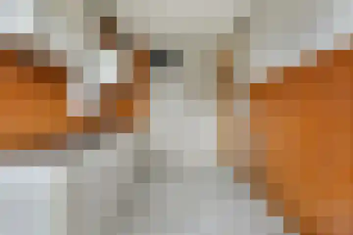 Ariaweg 590 Amersfoort thumbnail 9
