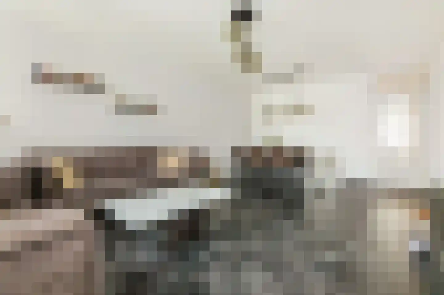 Ariaweg 81 Amersfoort thumbnail 13