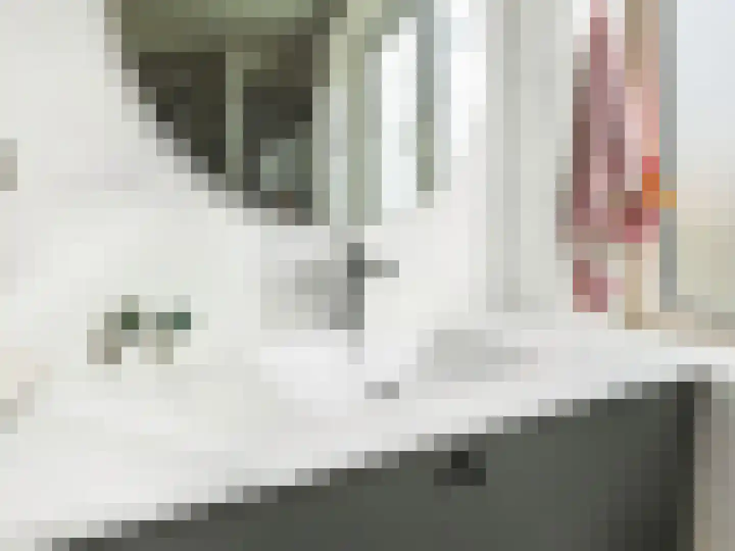 Ariaweg 81 Amersfoort thumbnail 19