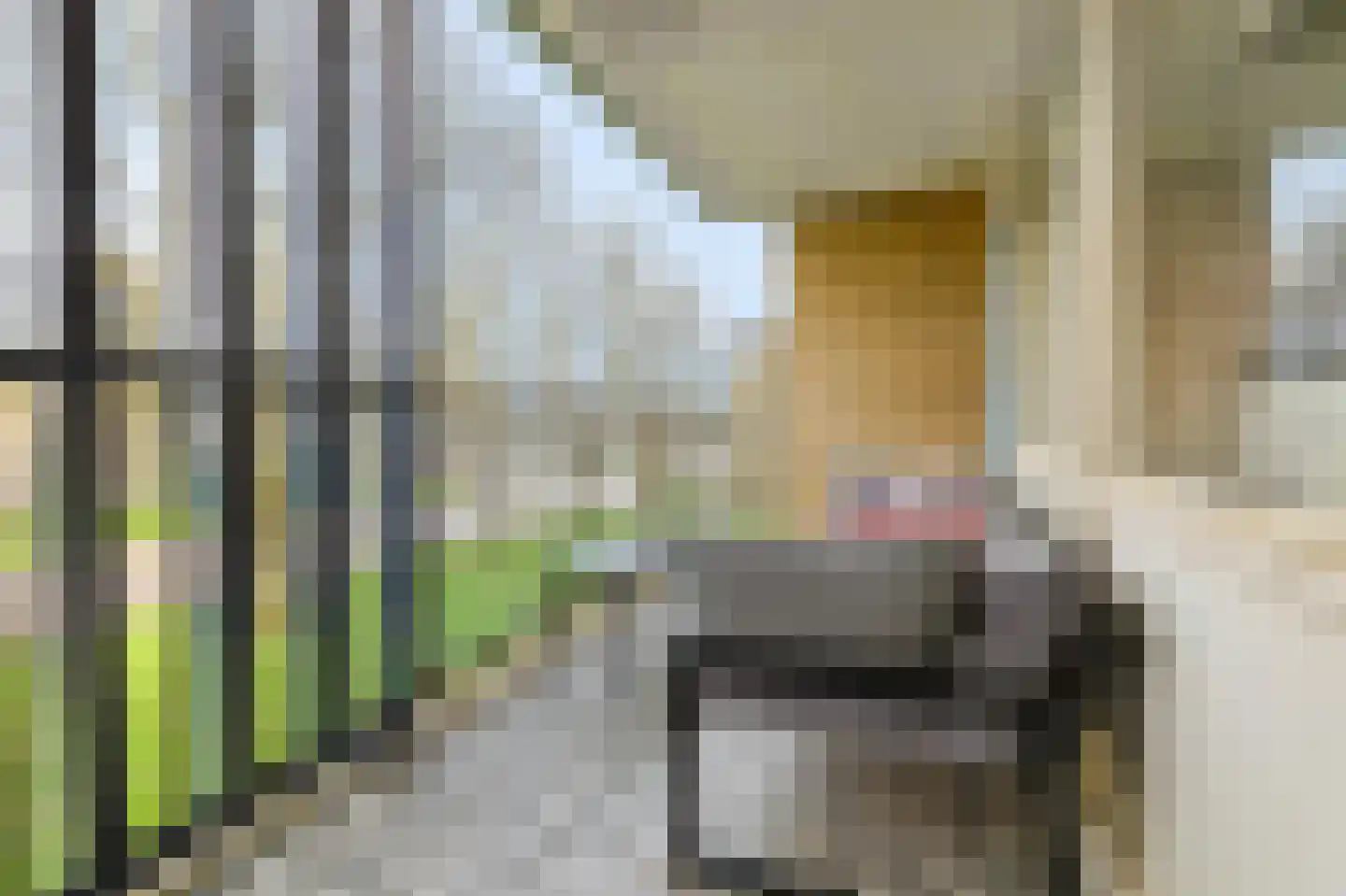Ariaweg 81 Amersfoort thumbnail 27