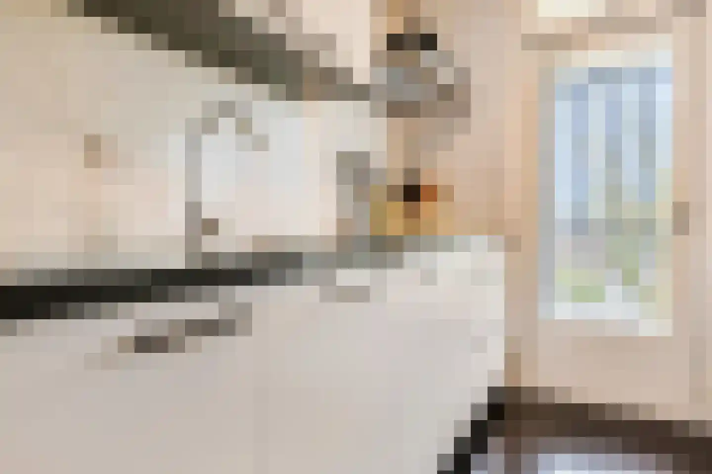 Ariaweg 81 Amersfoort thumbnail 5