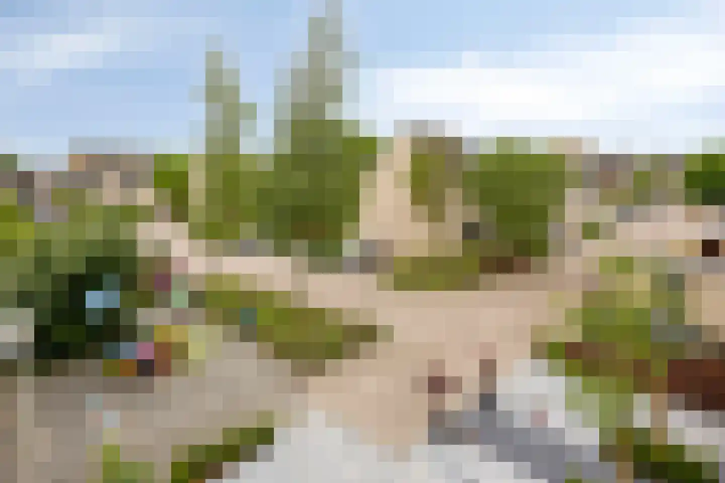 Arica 120 Capelle aan den IJssel thumbnail 41