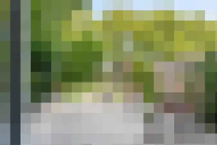 Arica 123 Capelle aan den IJssel thumbnail 11