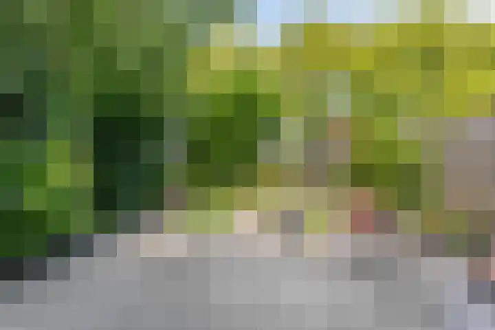 Arica 123 Capelle aan den IJssel thumbnail 12