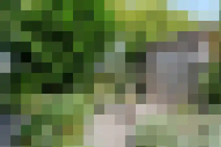 Arica 123 Capelle aan den IJssel thumbnail 13