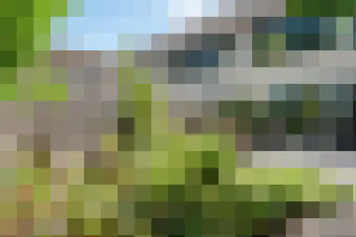 Arica 123 Capelle aan den IJssel thumbnail 16