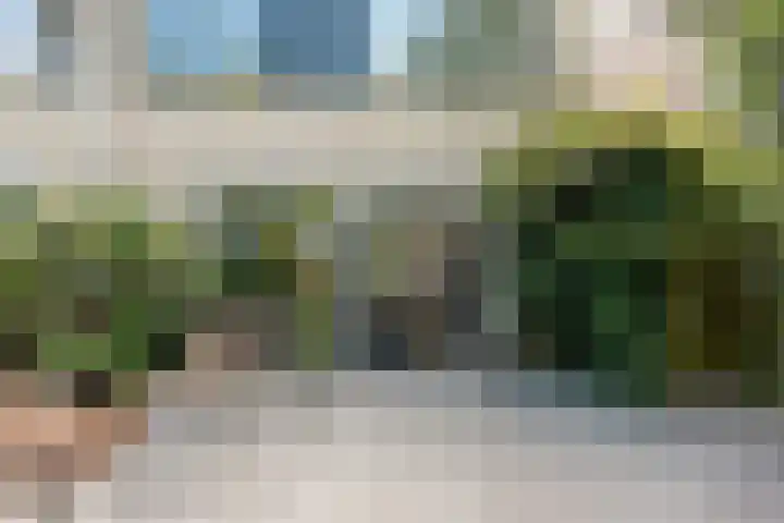 Arica 123 Capelle aan den IJssel thumbnail 17