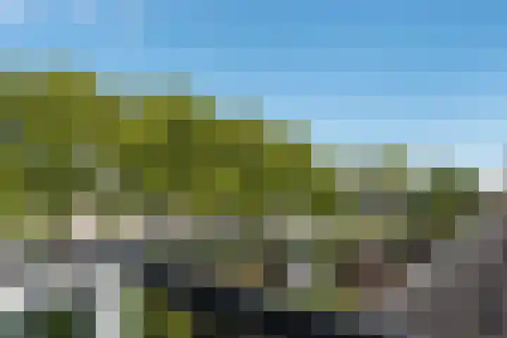 Arica 123 Capelle aan den IJssel thumbnail 29