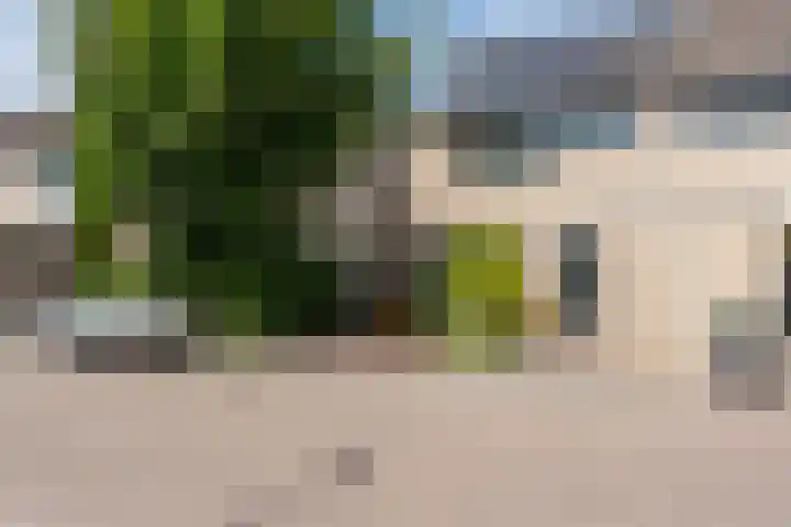 Arica 123 Capelle aan den IJssel thumbnail 31